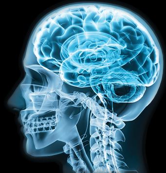 Jefferson Annual Brain Tumor Symposium: Contemporary Management of Brain and Spine Metastases Banner
